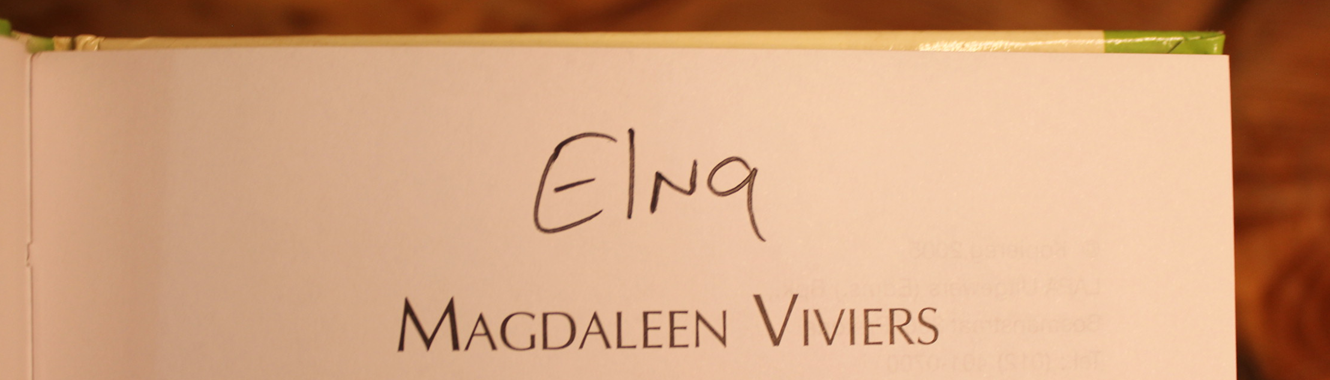 Vlug van die arend - Magdaleen Viviers