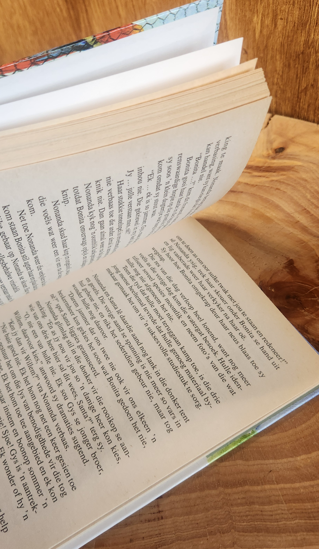 Voëlparadys - Rika du Plessis