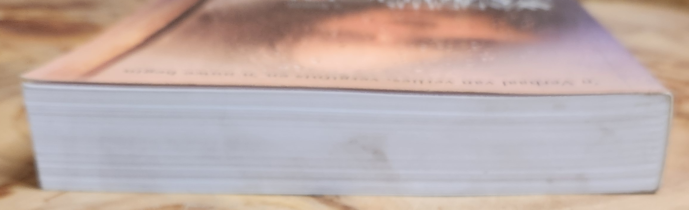 Wanneer vreugde kom - Karen Kingsbury