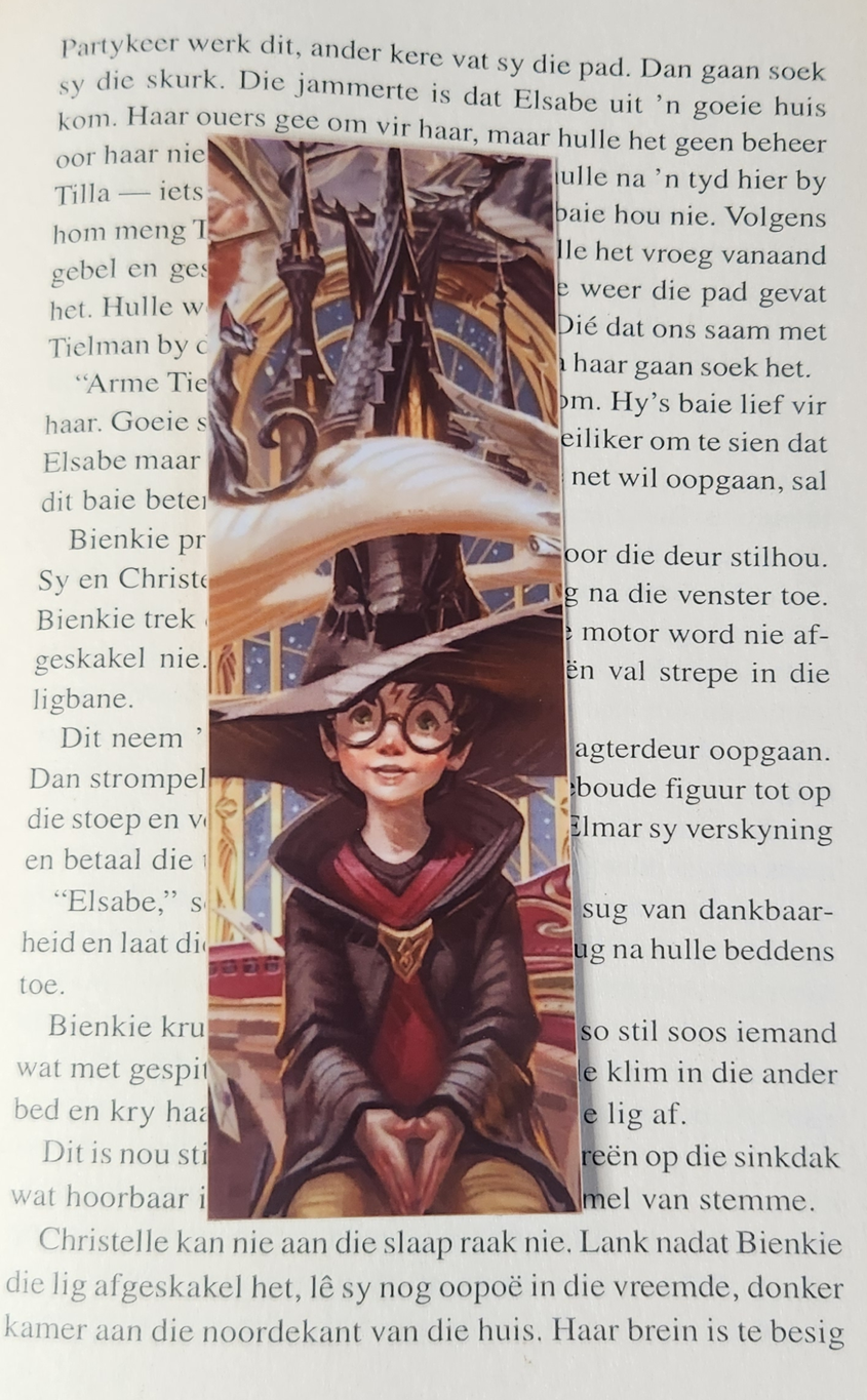 Laminated Bookmark 47