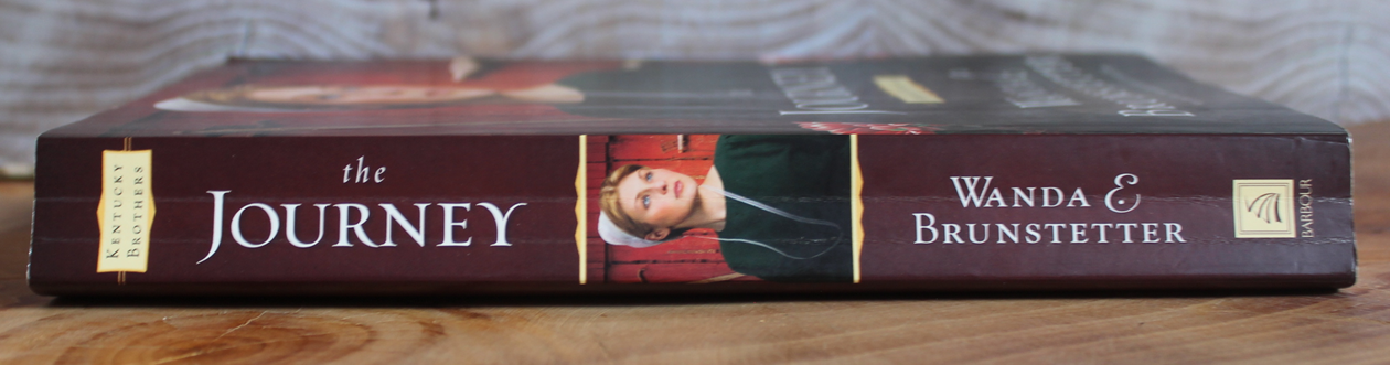the Journey - Wanda E Brunstetter