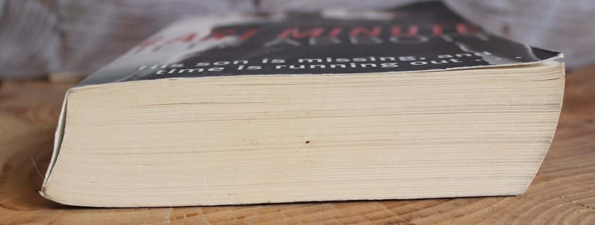 The last minute - Jeff Abbott