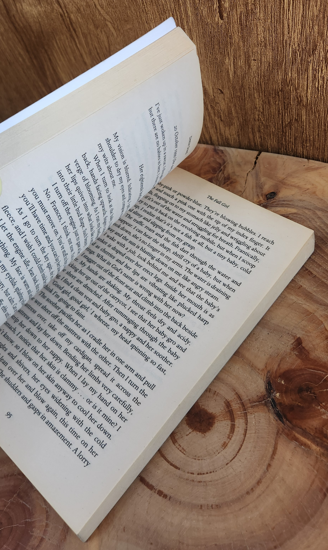 the fall girl - Denise Sewell