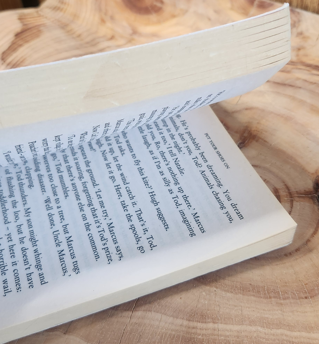 wonderboy - Fiona Gibson