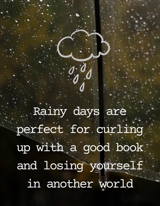 Rainy Day Reads