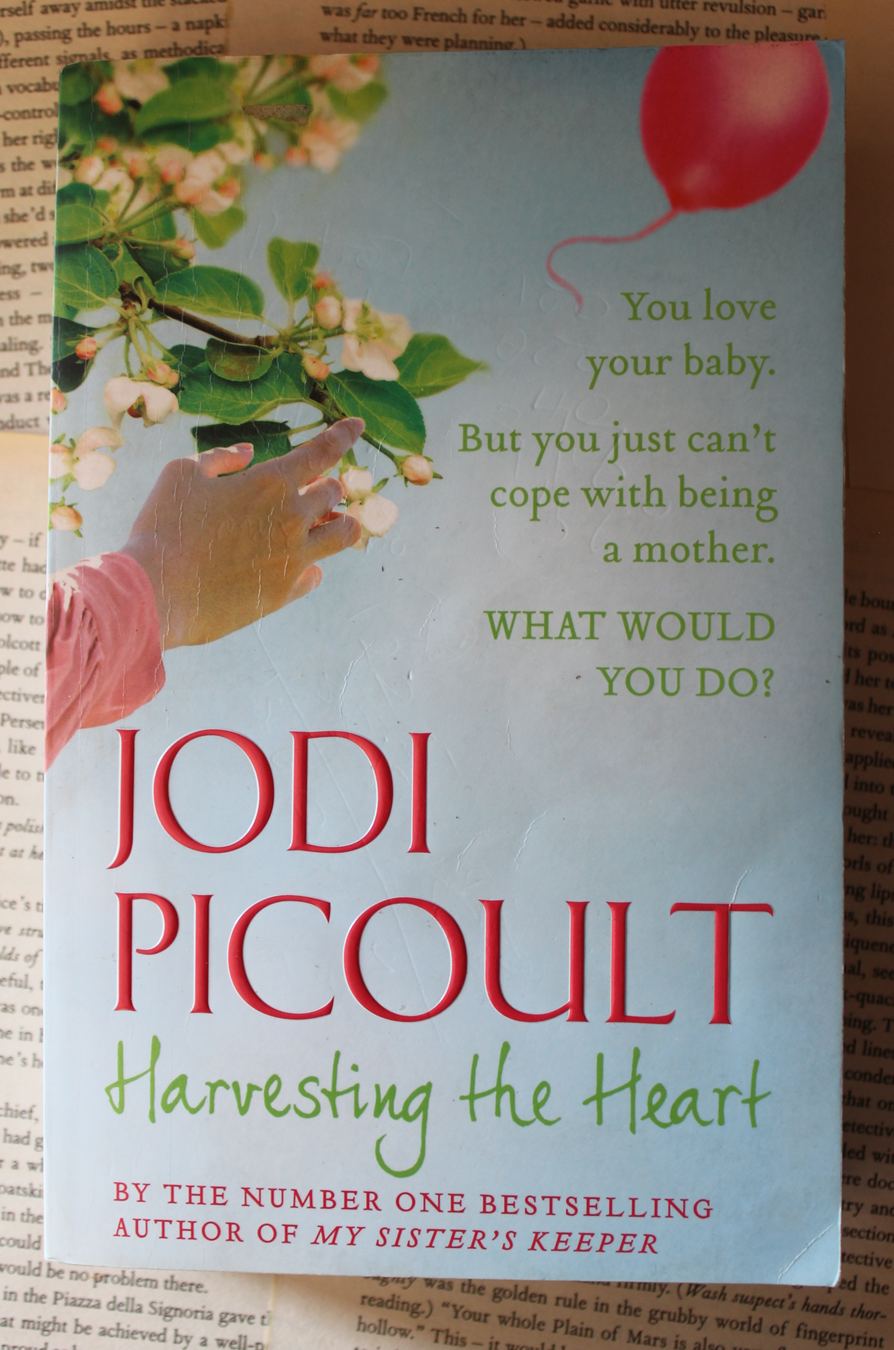 Jodi Picoult