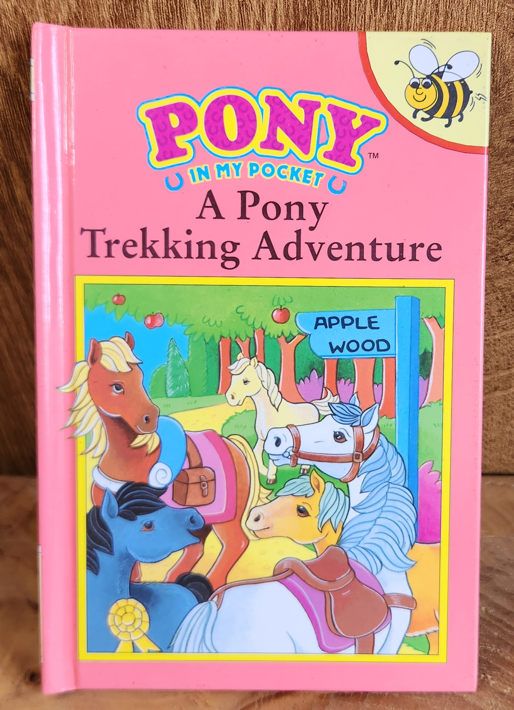 A Pony Trekking Adventure - Susan Allan
