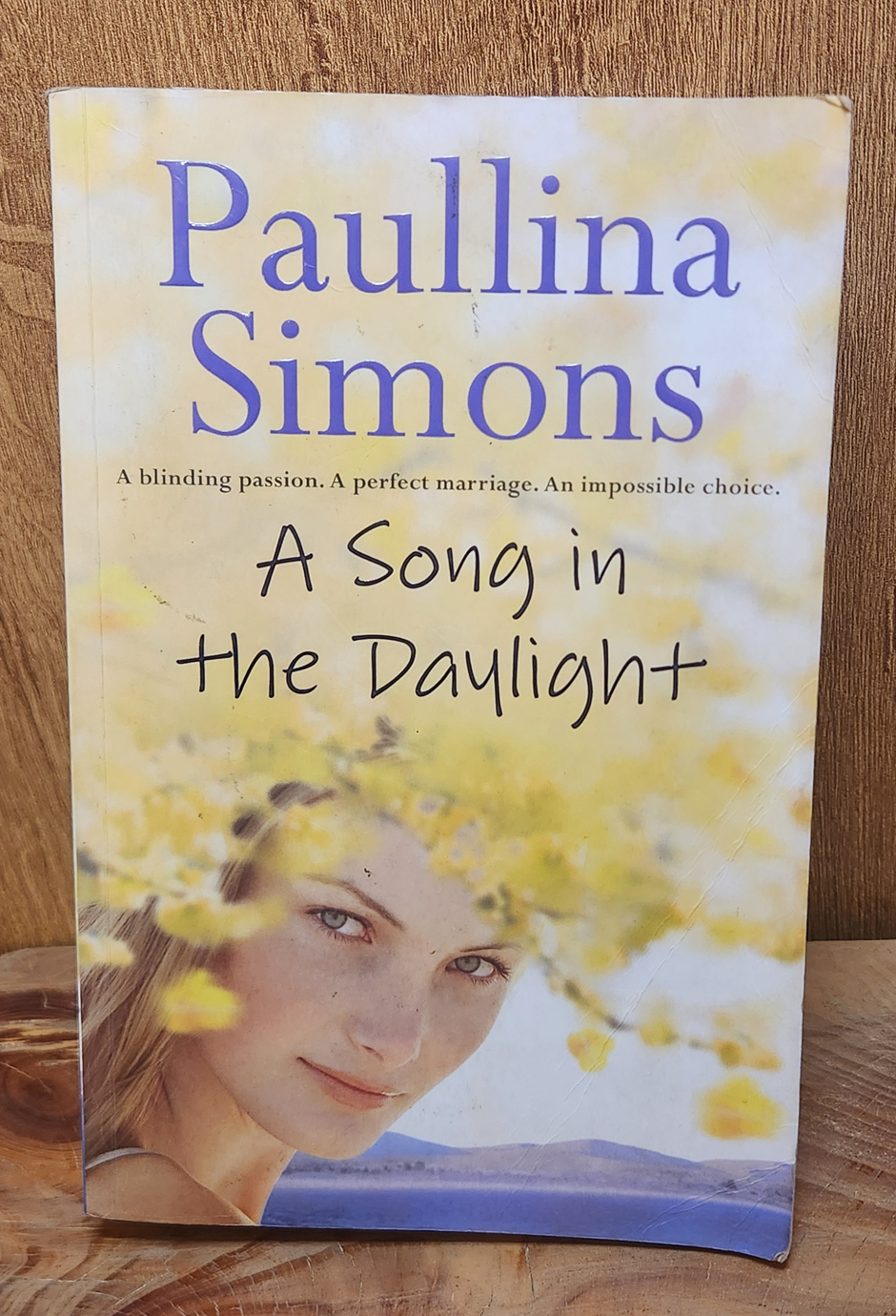 A Song in the Daylight - Paullina Simons