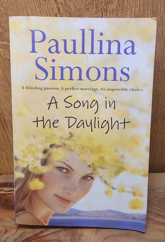 A Song in the Daylight - Paullina Simons