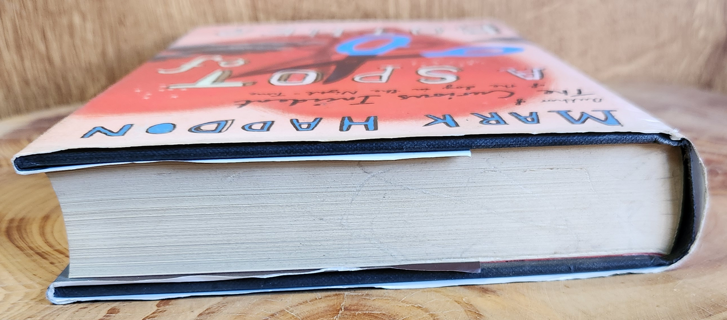 A Spot of Bother - Mark Haddon