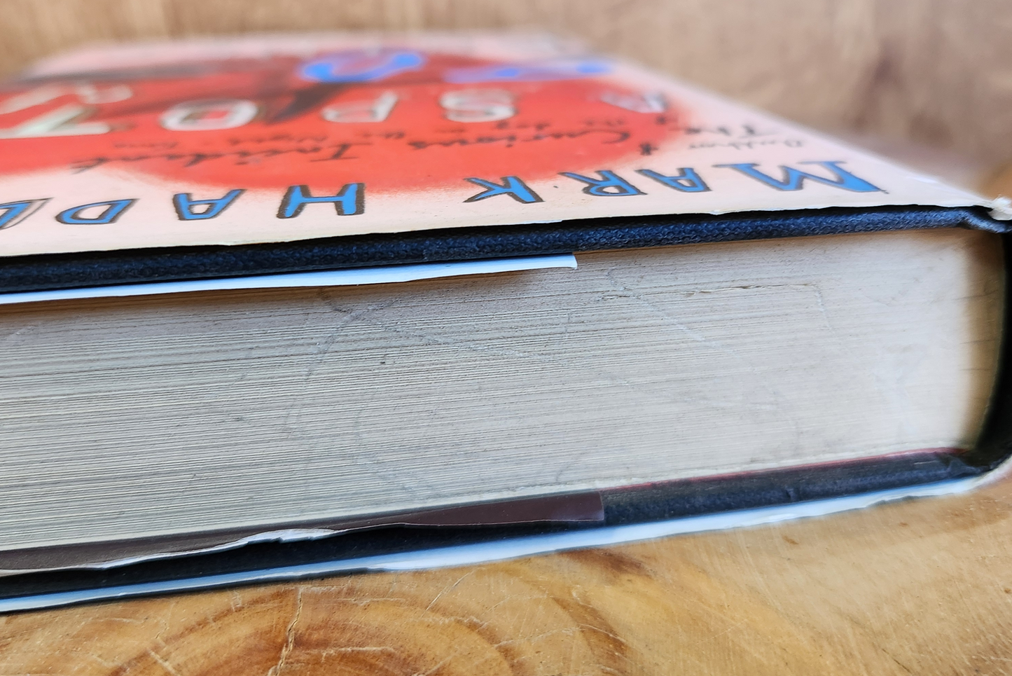 A Spot of Bother - Mark Haddon