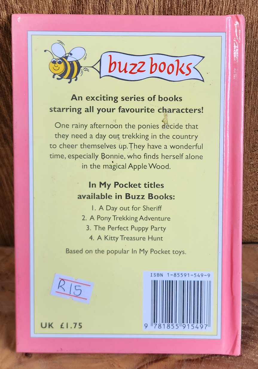 A Pony Trekking Adventure - Susan Allan