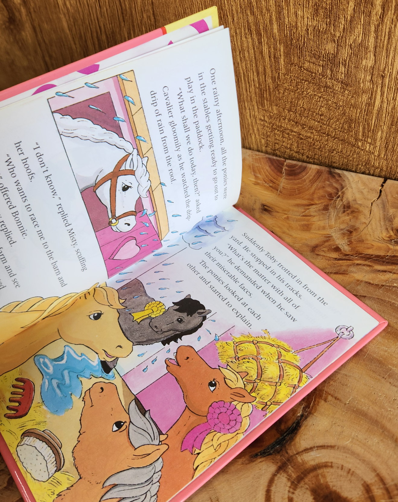A Pony Trekking Adventure - Susan Allan