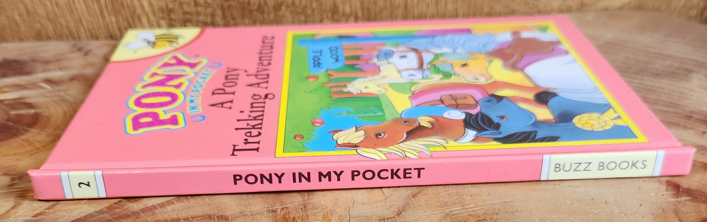A Pony Trekking Adventure - Susan Allan
