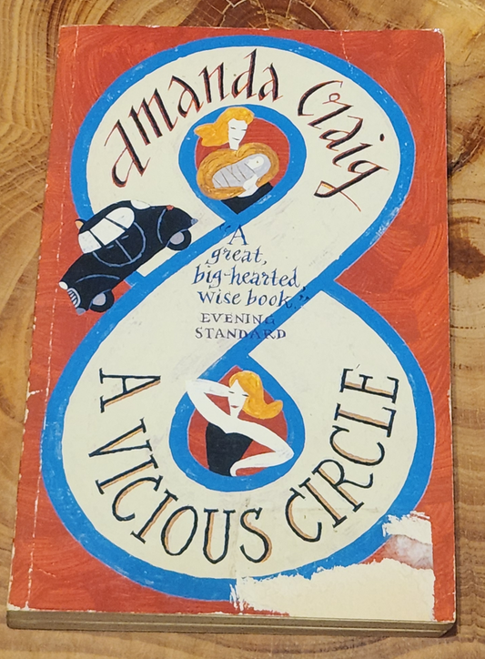 A Vicious Circle - Amanda Craig