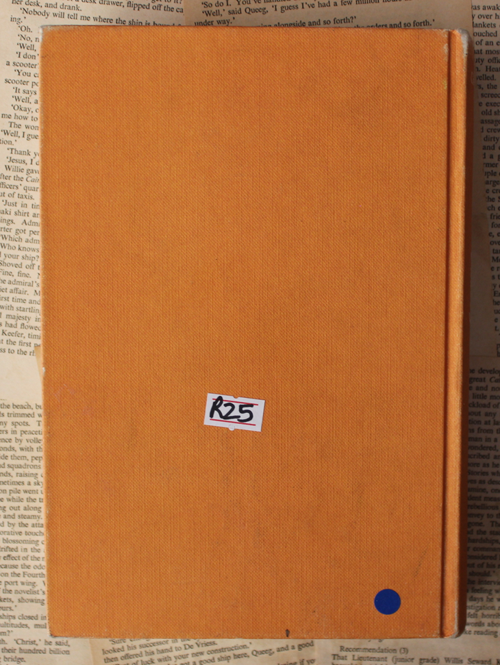 A century of South African Poetry - Michael Chapman