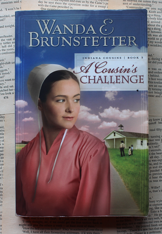 A cousin's challenge - Wanda E Brunstetter