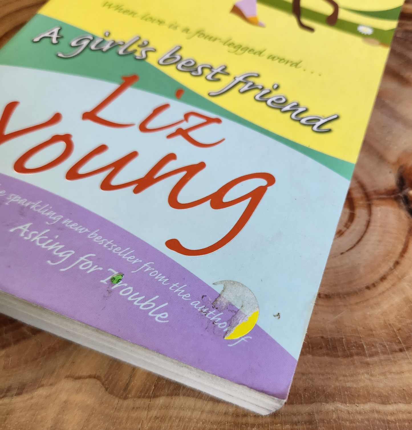A girl's best friend - Liz Young