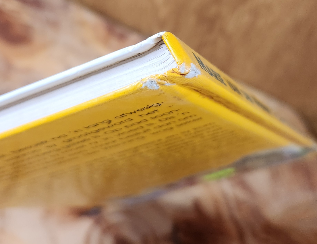 Alda van droomberg - Marie van der merwe