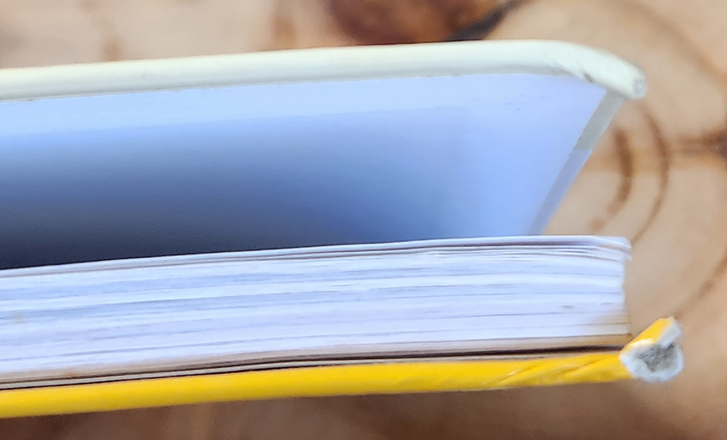 Alda van droomberg - Marie van der merwe