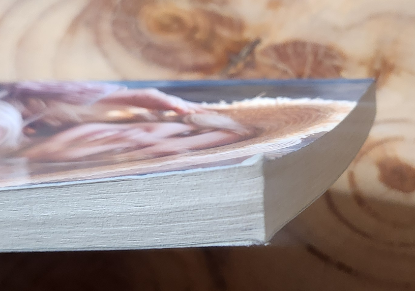 Allermooiste meisie - Elize Davies