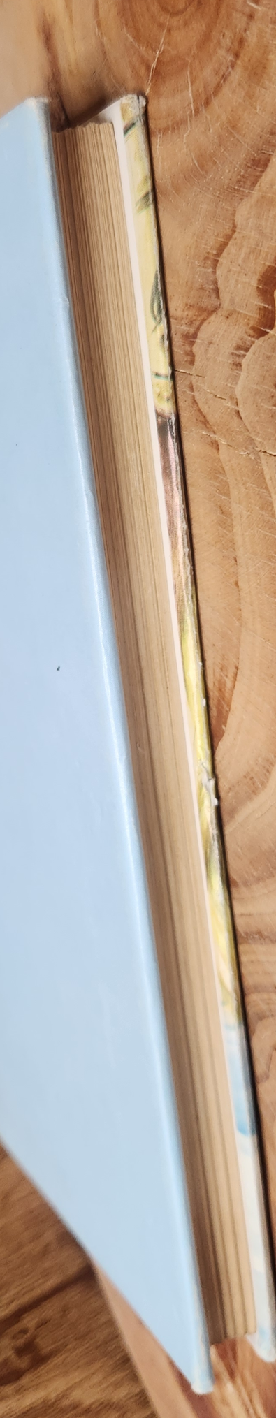 Alles net vir Monica - Dewald Brink en Len Anthony