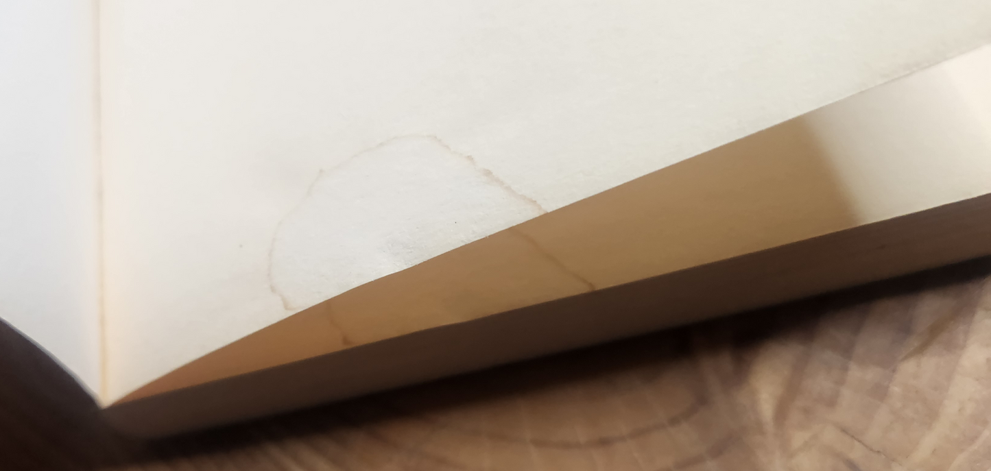 All he ever wanted - Anita Shreve