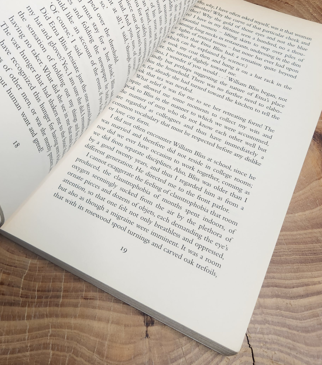 All he ever wanted - Anita Shreve