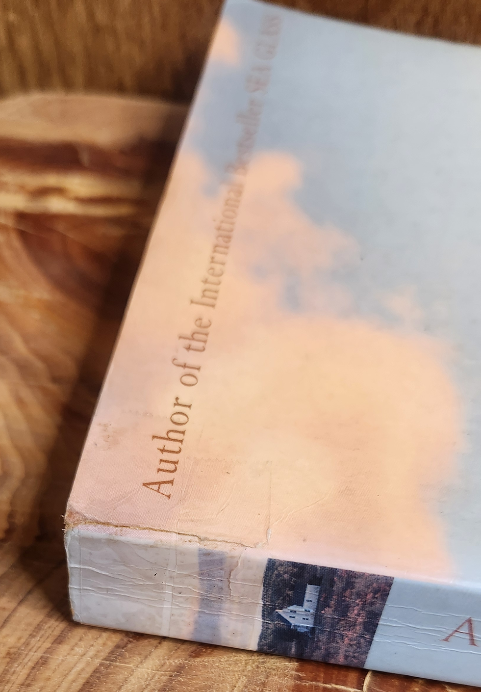 All he ever wanted - Anita Shreve