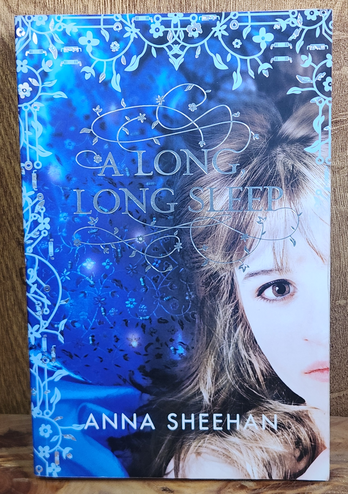 A long, long sleep - Anna Sheehan