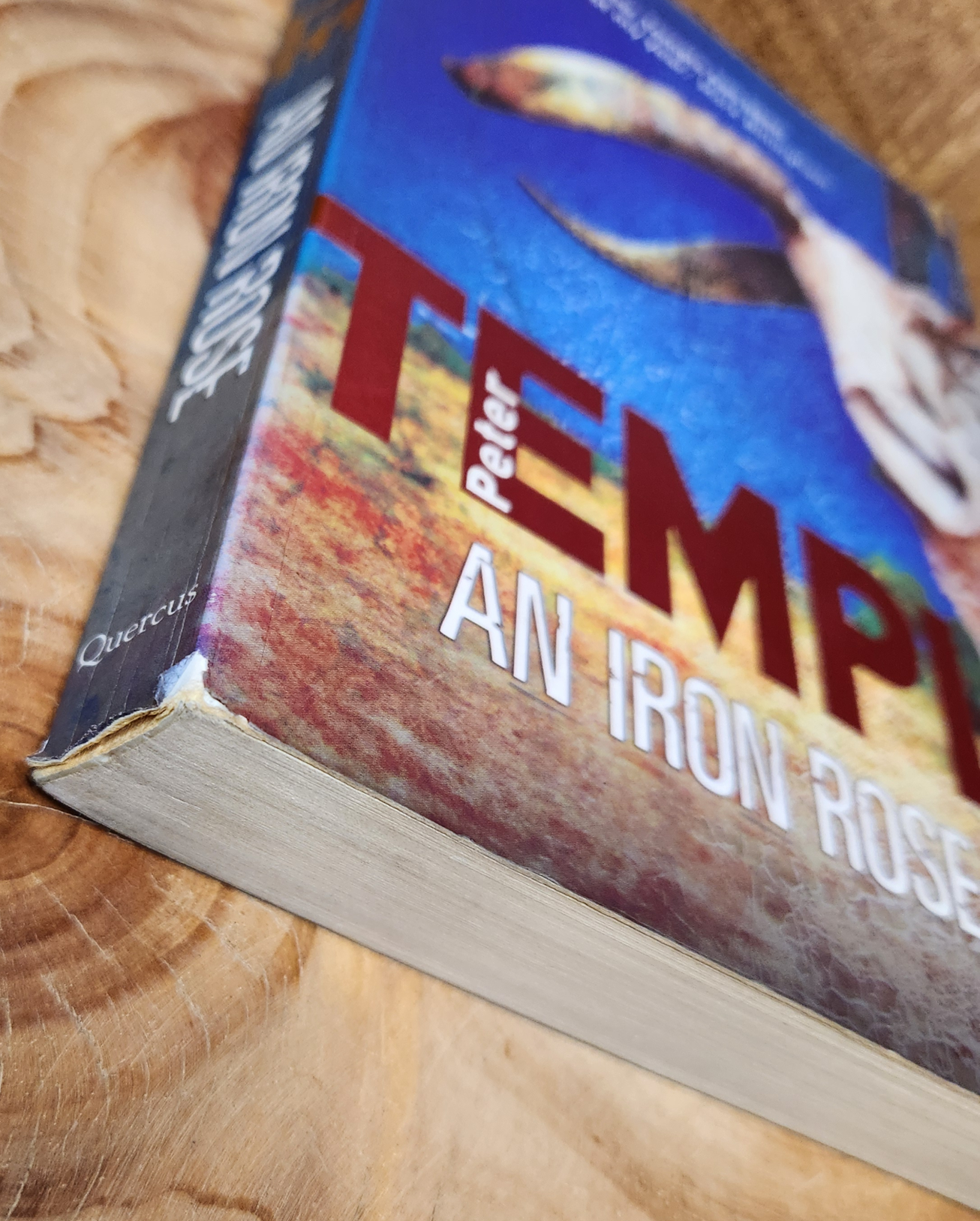 An Iron Rose - Peter Templer