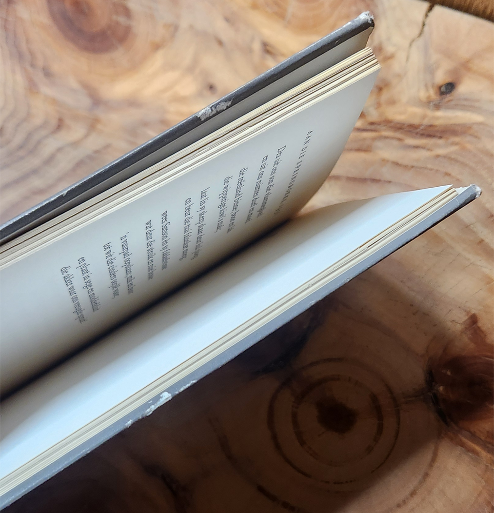 Ander kant besit - Ernst van Heerden