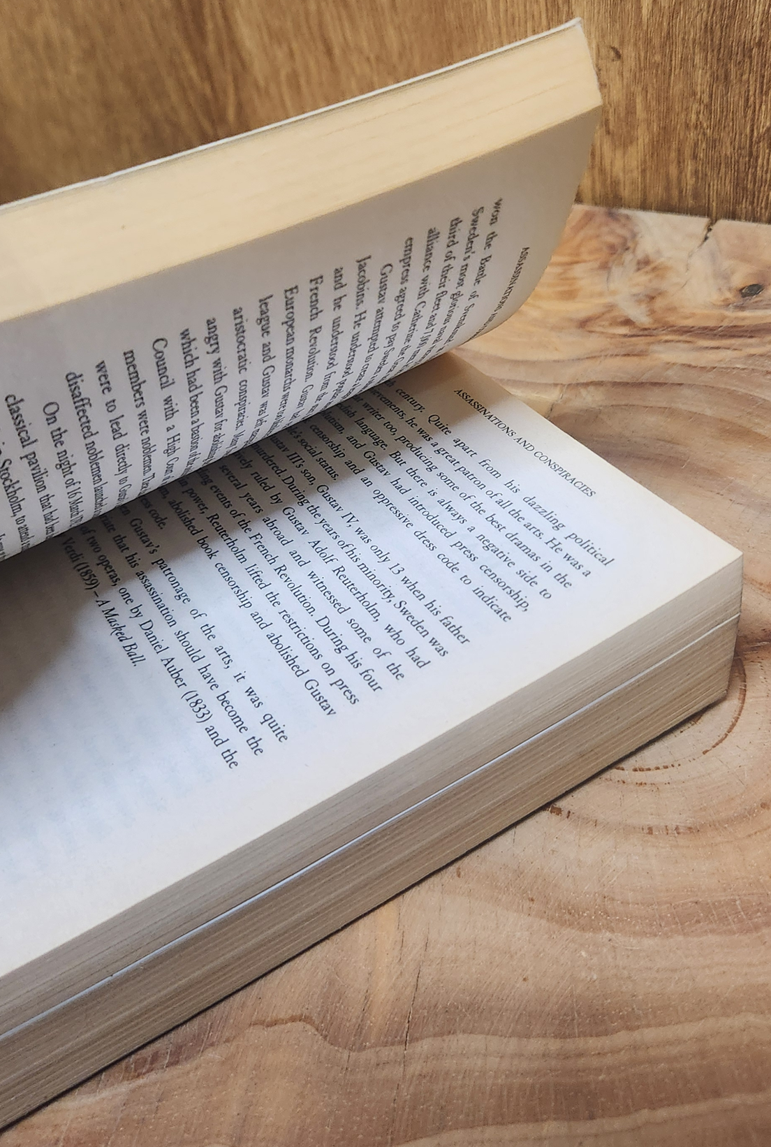 Assassinations and Conspiracies - Rodney Castleden