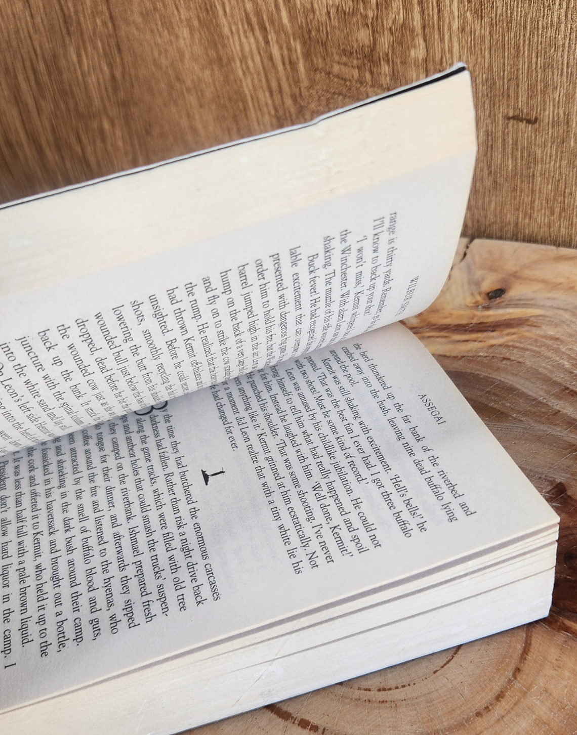 Assegai - Wilbur Smith