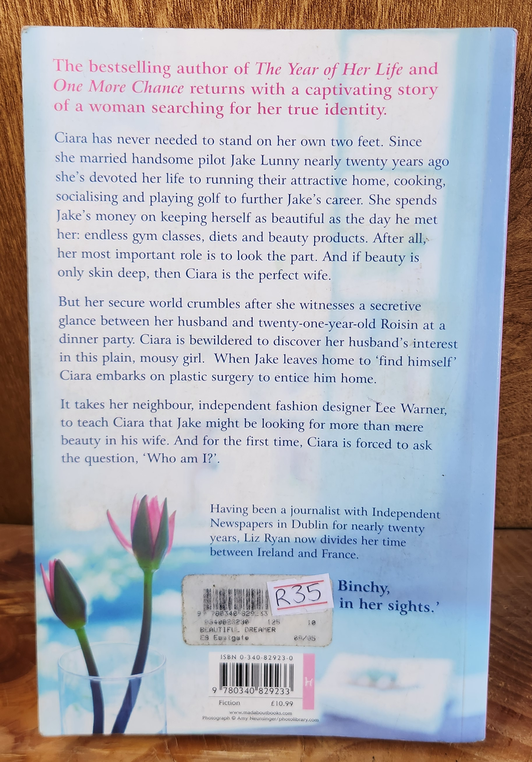 Beautiful Dreams - Liz Ryan