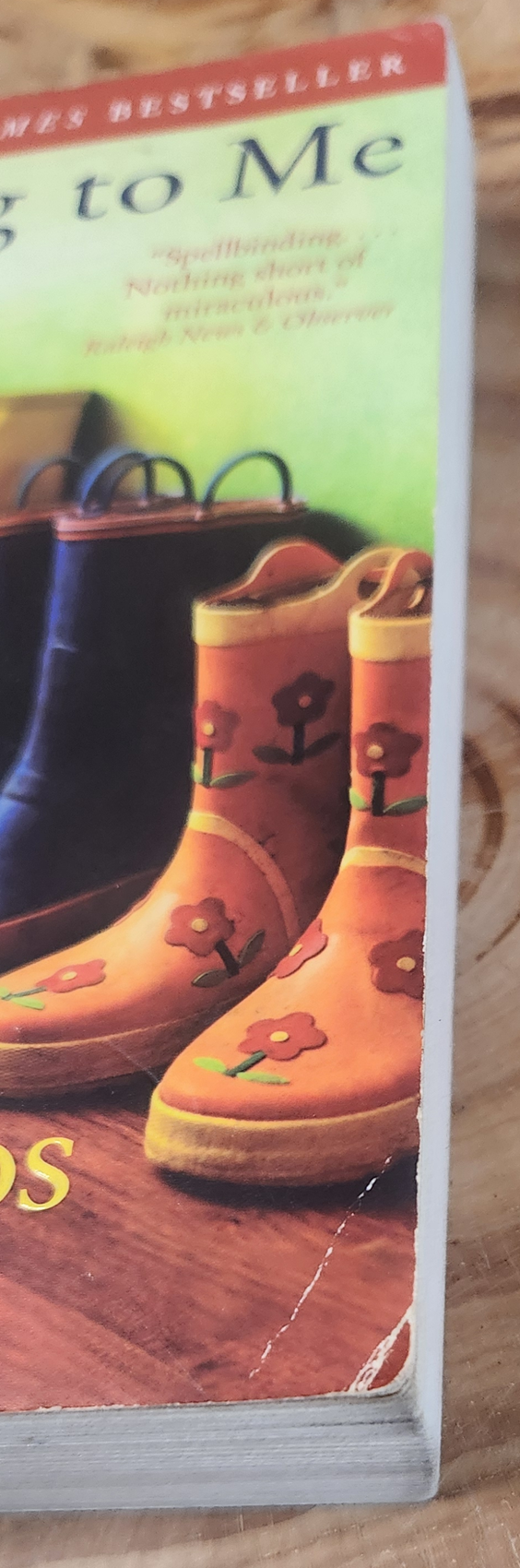 Belong to Me - Marisa de los Santos