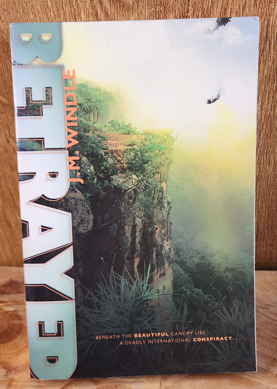 Betrayed - J.M. Windle