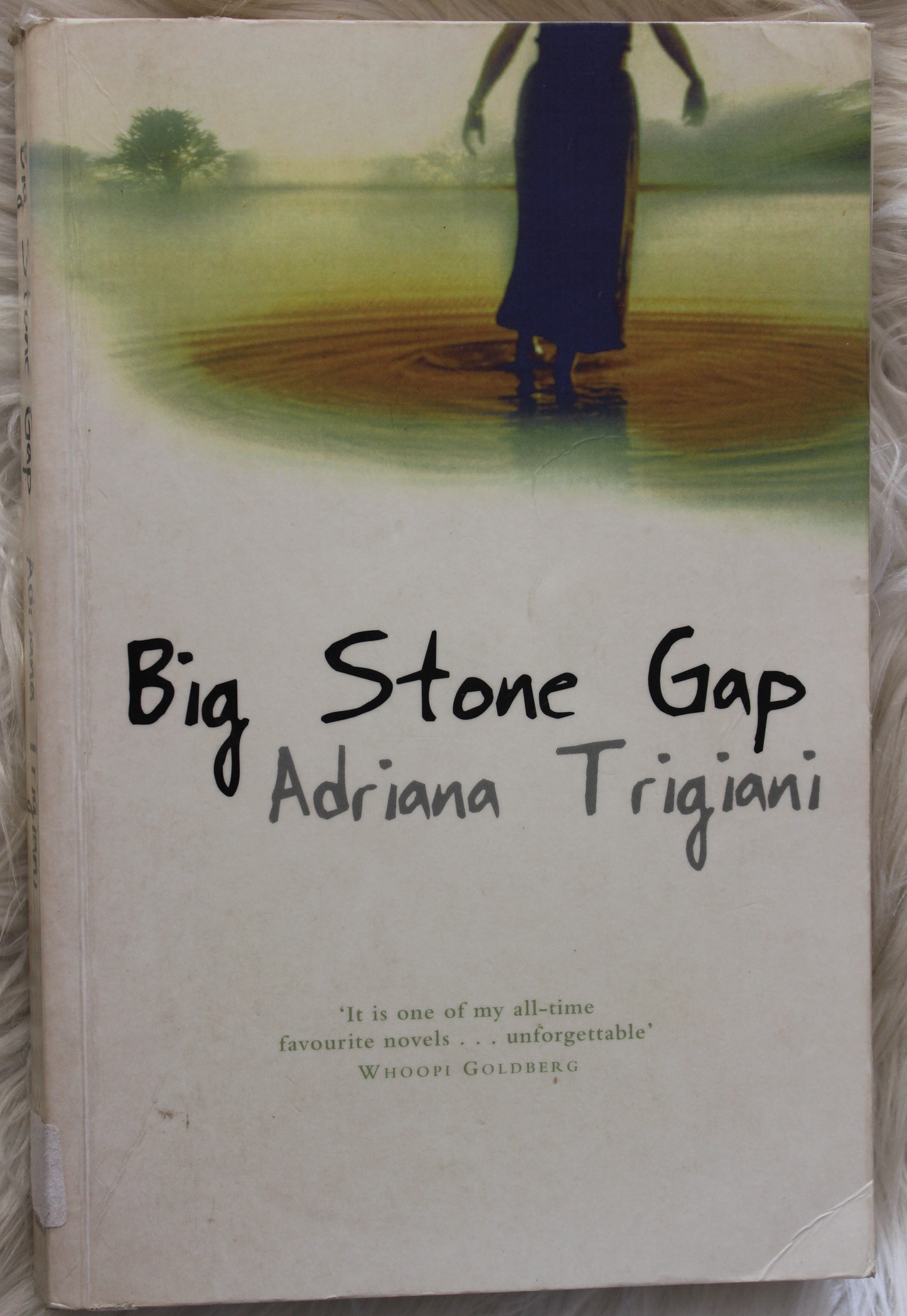 Big stone gap - Adriana Trigiani