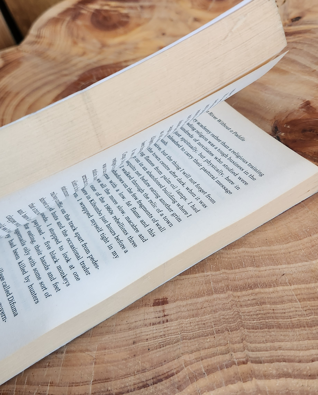 Blood River - Tim Butcher