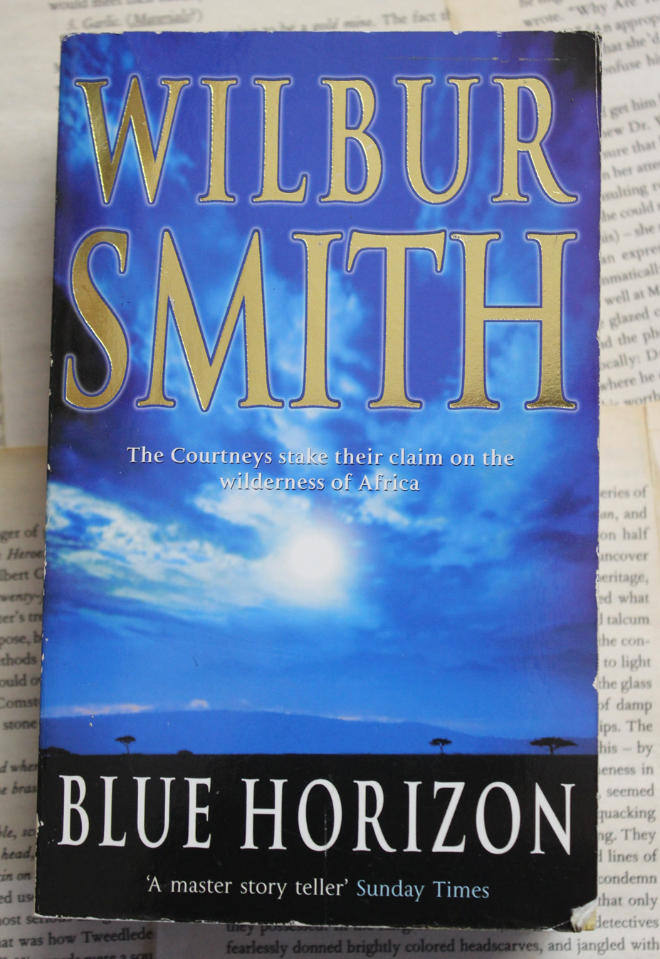 Blue Horizon - Wilbur Smith