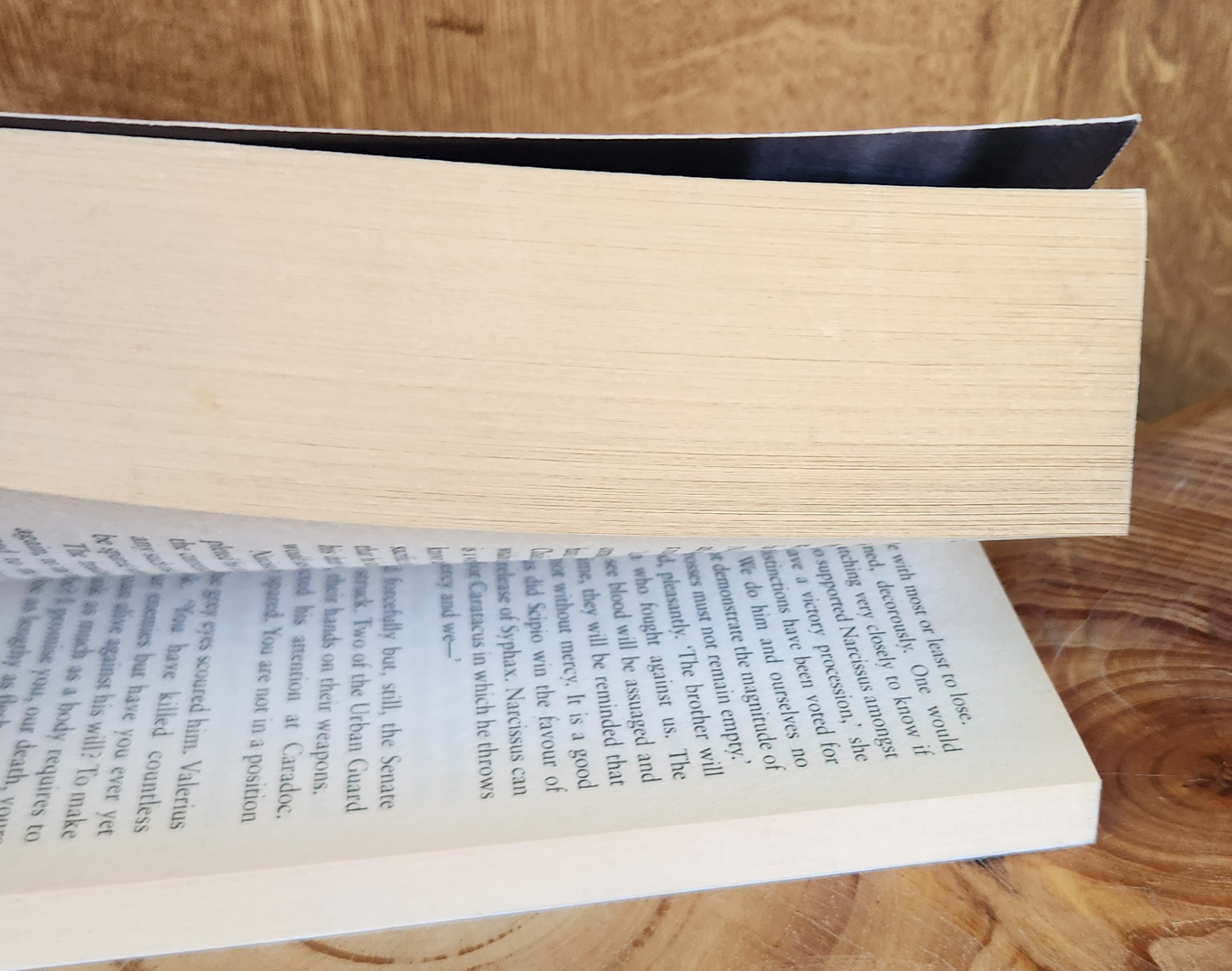 Boudica, Dreaming the Bull - Manda Scott