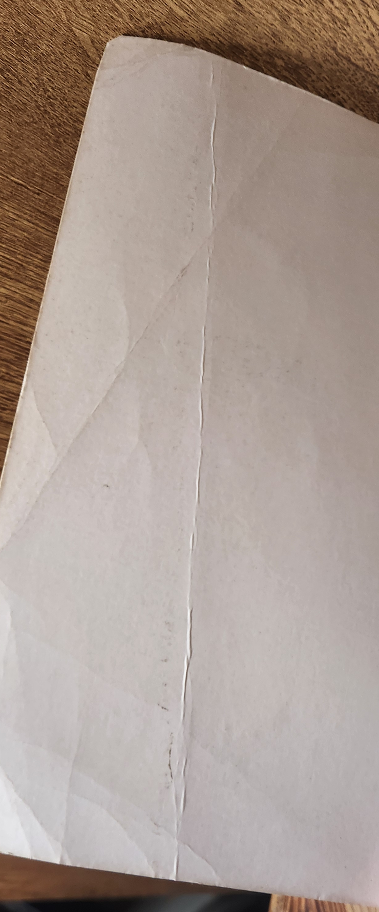 Brisingr - Christopher Paolini