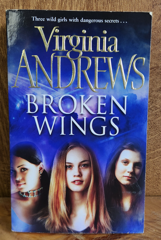 Broken Wings - Virginia Andrews