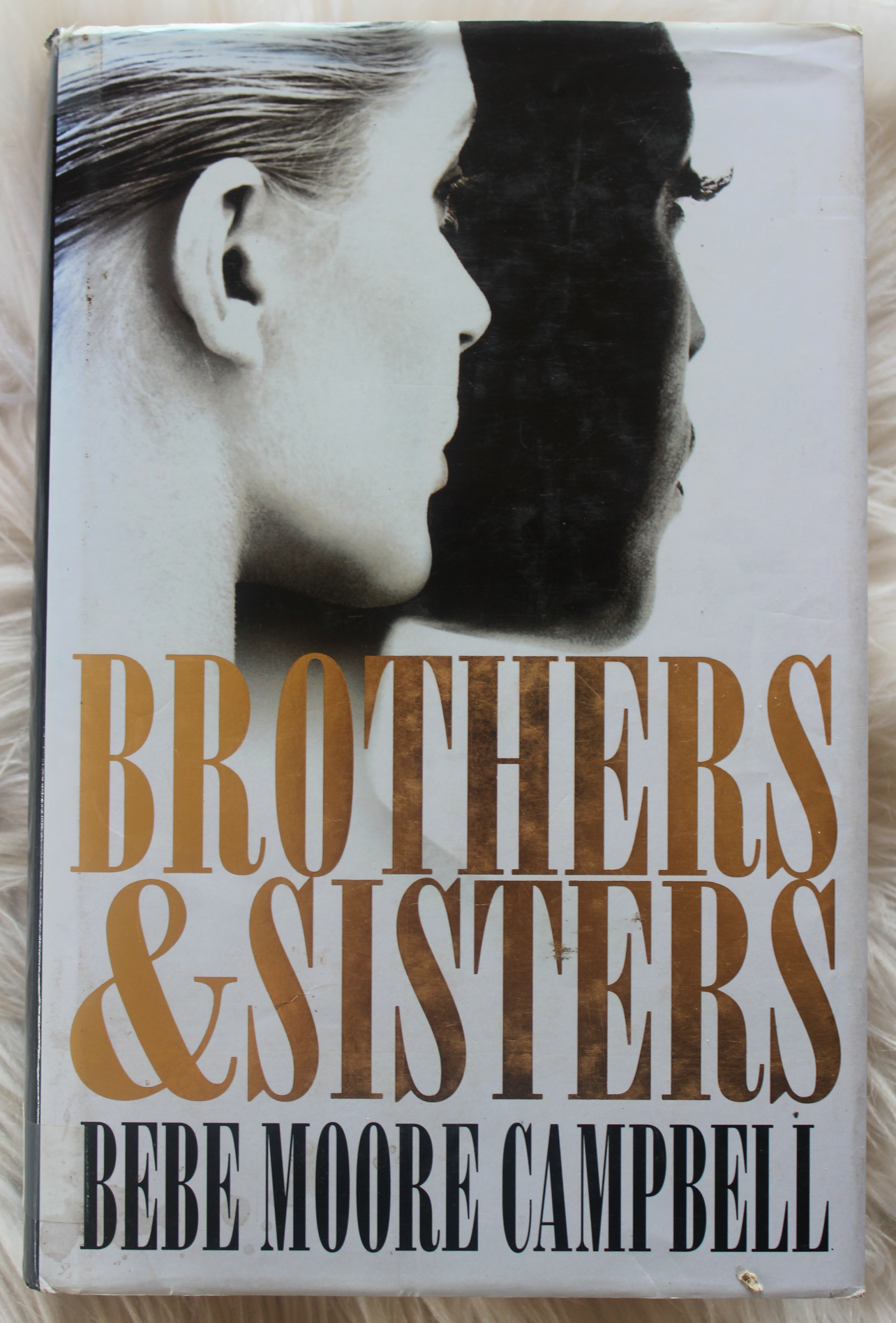 Brothers & Sisters - Bebe Moore Campbell