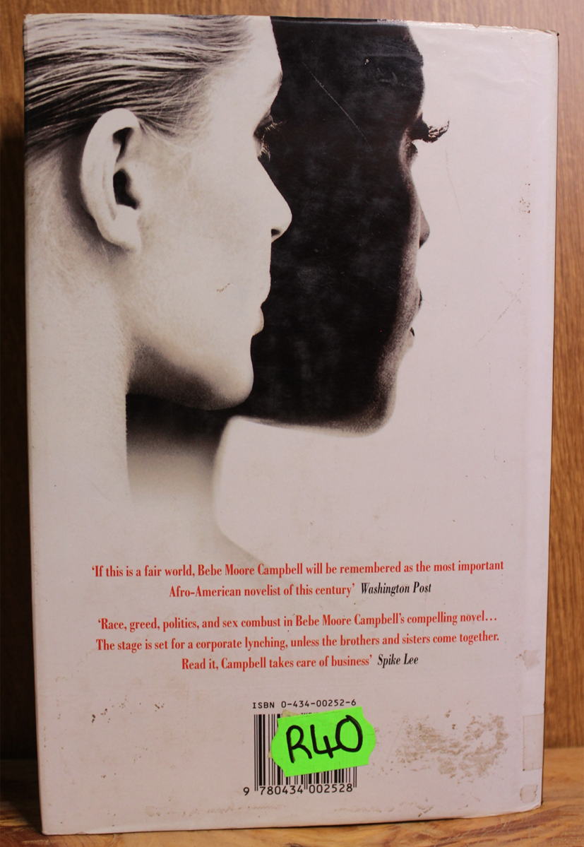 Brothers & Sisters - Bebe Moore Campbell