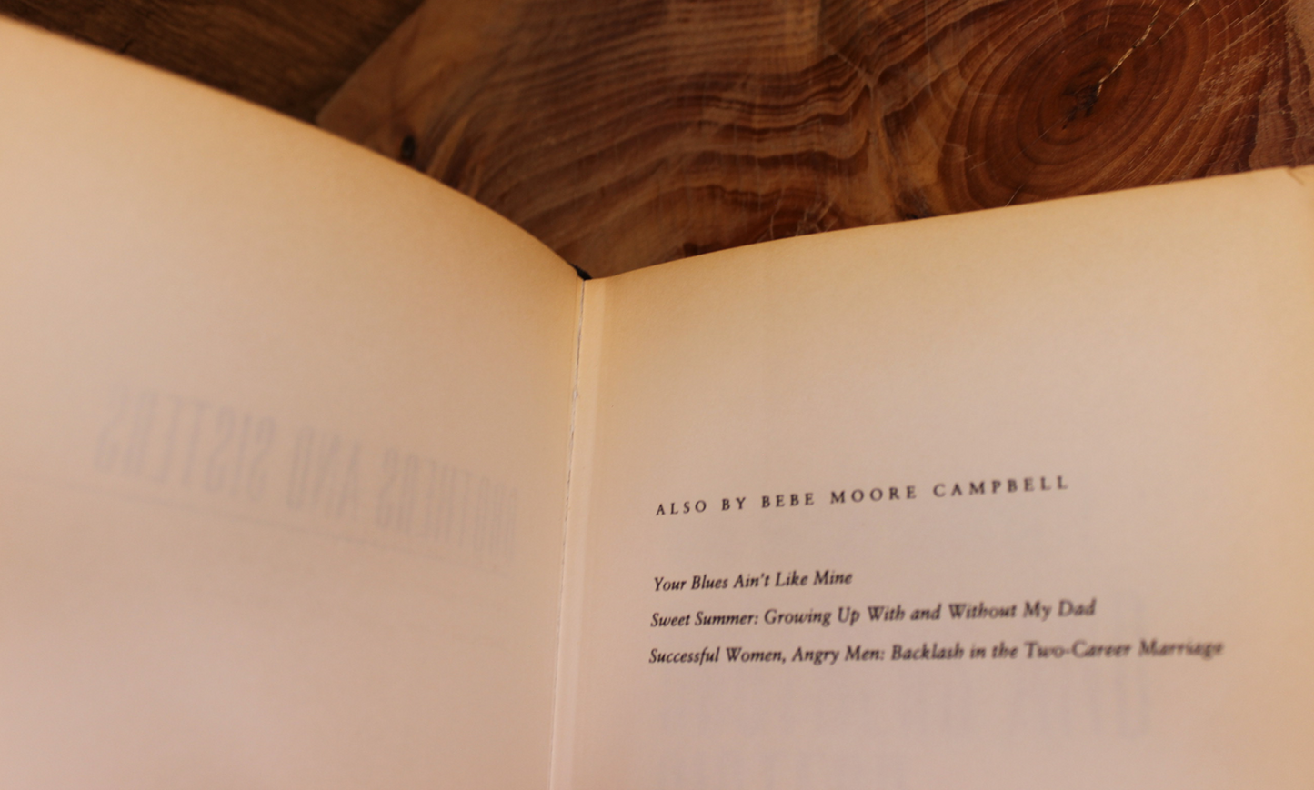 Brothers & Sisters - Bebe Moore Campbell