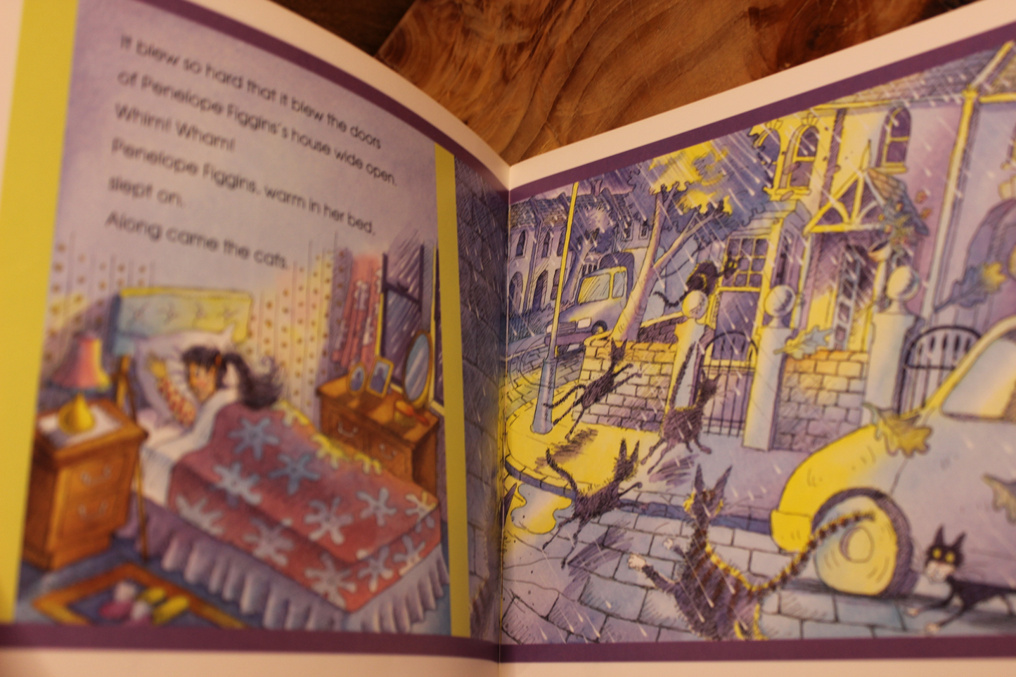 Cats of the Night - Pauline Cartwright