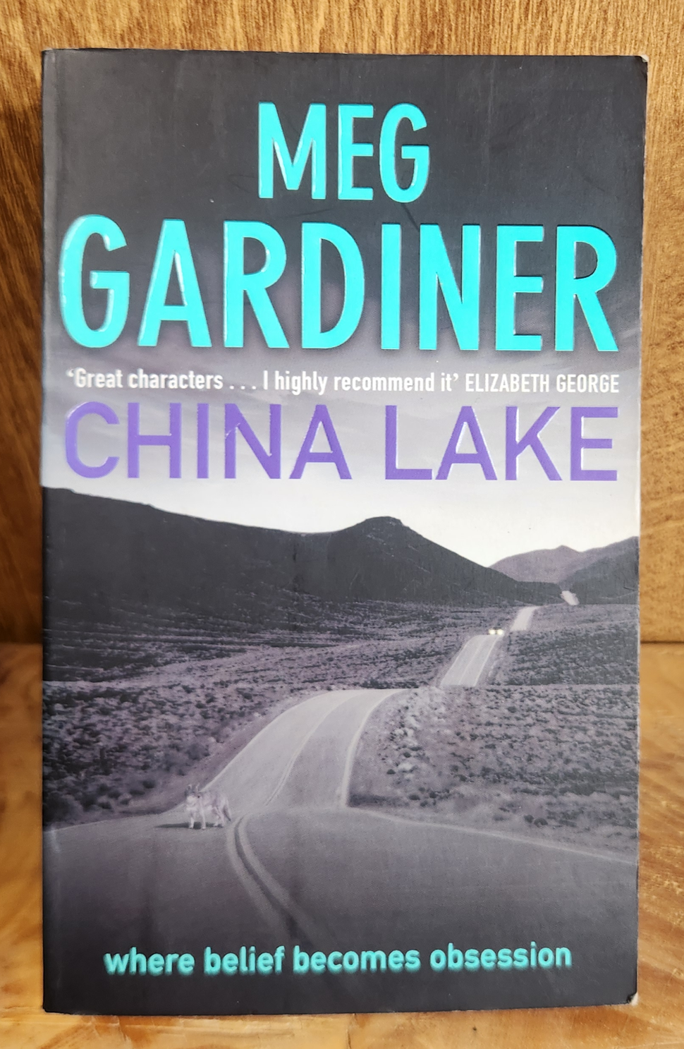 China Lake - Meg Gardiner