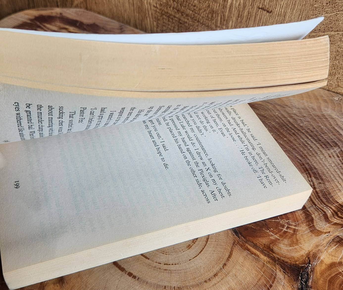 China Lake - Meg Gardiner