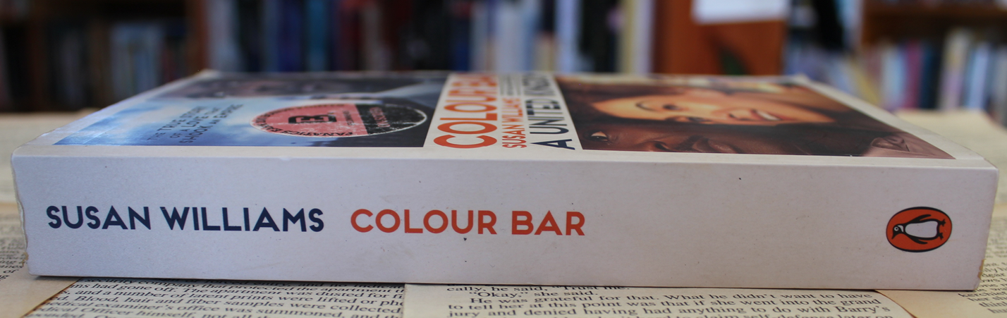 Colour Bar - Susan Williams